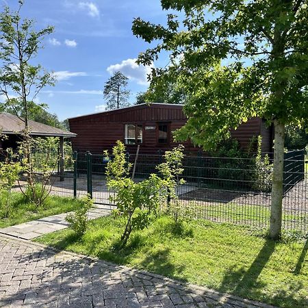 Vrijstaand Chalet Met Veel Buitenruimte En Veranda Zuid-Scharwoude Экстерьер фото