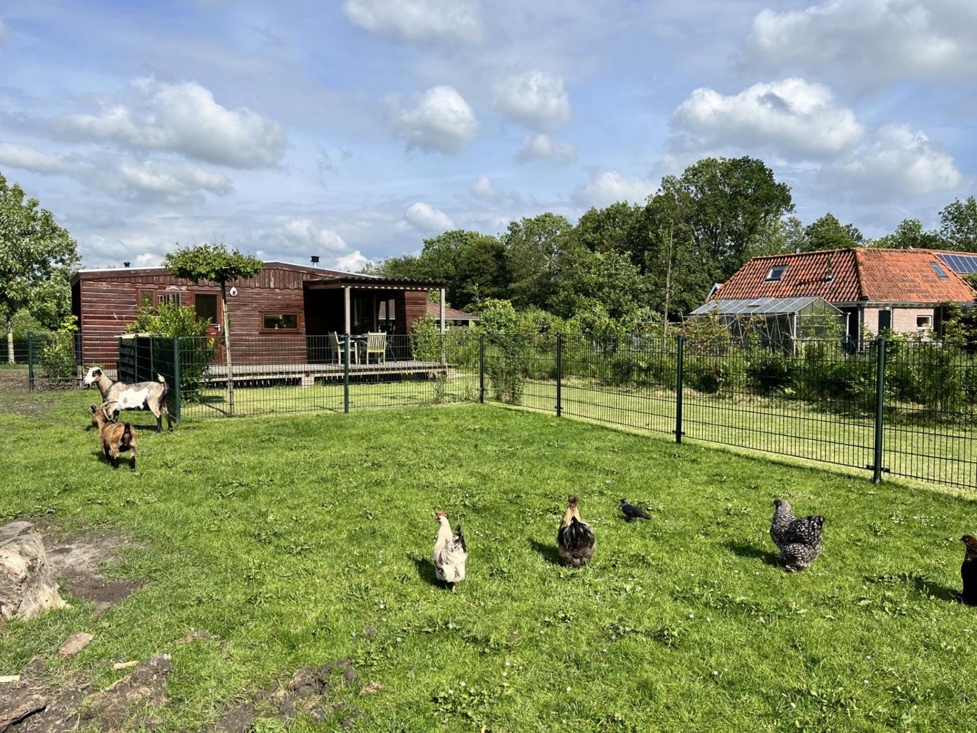Vrijstaand Chalet Met Veel Buitenruimte En Veranda Zuid-Scharwoude Экстерьер фото